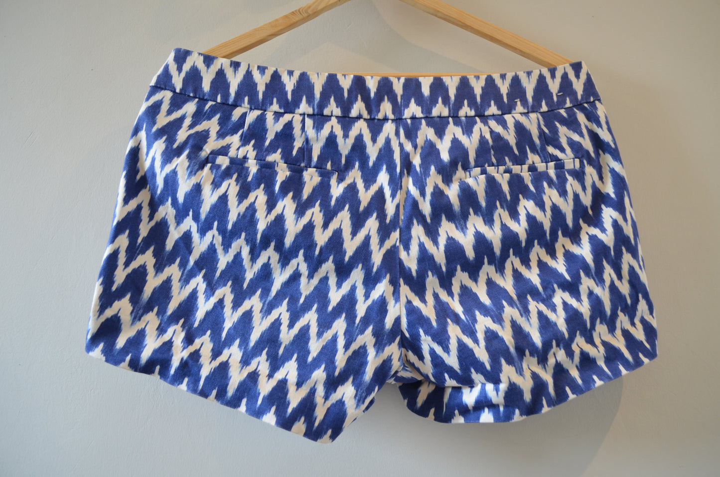 Blue & White Patterned Shorts
